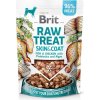 Brit Raw Treat Skin & Coat Freeze dried Fish & Chicken 40 g