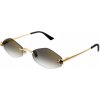 Cartier CT0433S 001