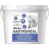 DROMY Gastroheal KONCENTRÁT 3 kg