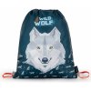 Oxybag vlk