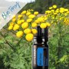 doTerra Esenciálny olej Blue Tansy 5 ml