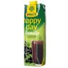 Džús Happy Day Family Čierna ríbezľa 25% 1l