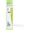 Vipera Redi gra.1 x 4 g 5CH