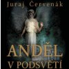 Červenák Juraj - Anděl v podsvětí [CD]