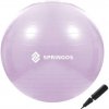 Fitness lopta - 65cm - fialová