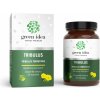 GREEN IDEA - Kotvičník zemný bylinný extrakt- Rastlinný stimulant - Kapsuly