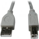 Gembird CCP-USB2-AMBM-6G USB 2.0,A-B, 1,8m