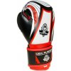 Boxerské rukavice DBX BUSHIDO ARB407v2 6 oz