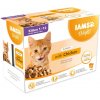 IAMS Delights Kitten kura v omáčke multipack 12 x 85 g