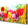 Obraz Canvas Tulipány kvety rastlina 100x50 cm