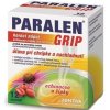 PARALEN GRIP horúci nápoj echinacea a šípky plo por 500 mg/10 mg, 1x12 vrecúšok