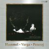 HAMMEL PAVOL / VARGA MARIAN / PETERAJ KAMIL - VSETKO JE INAK (1CD)
