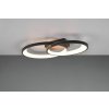 TRIO Reality R64482134 MALAGA stropné svietidlo SMD LED 25W/2900lm 3000K čierna, biela