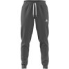 adidas Nohavice Ent22 Sw Pnt Šedá