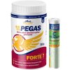 ArtiVit Pegas Forte 7 Extra silná kloubní výživa pro koně 0,7 kg