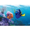 Fototapeta na stenu - FT5445 - Kde je Dory 416cm x 290cm - Vliesová fototapeta