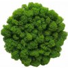 Machový obraz Kruh bezrámový 15cm