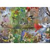 Cobble Hill - Puzzle Vtáky - 1000 dielov