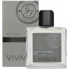 Vivaco Silver edition voda po holení Gentleman 100 ml