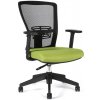 Hobis Office Pro kancelárska stolička THEMIS BP zelená