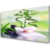 Sklenený obklad Do kuchyne Orchidea bambus zen kúpele 100x50 cm