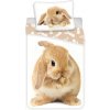Jerry Fabrics bielizeň Bunny “Brown” 140x200 70x90