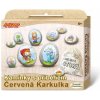 SMT Creatoys Malování na oblázky/kameny s příběhem Červená Karkulka kreativní sada v krabičce 19x16x4cm
