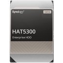 Synology HAT5310 8TB, HAT5310-8T