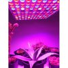 LED GROW panel pre všetky rastliny (ružová) 45W