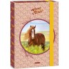 Ars una Box na zošity My Sweet Horse A4