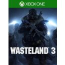 Wasteland 3