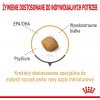 ROY Royal Canin Pomeranian Adult - suché krmivo pre psy - 3 kg