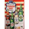 Ceduľa Canada Dry 30cm x 20cm Plechová tabuľa