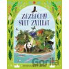 Zázračný svet zvierat - Maddy Vianová (ilustrátor)