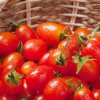 Paradajka Tutti Frutti F1 - Solanum lycopersicum - semená - 6 ks