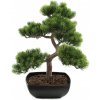 Europalms Bonsai borovice, umělá rostlina, 50cm
