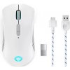Lenovo Legion M600 Wireless Gaming Mouse (Stingray) GY51C96033