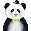 ZUTY Maľovanie podľa čísel - PANDA S KLOBÚČIKOM Rámovanie: vypnuté plátno na rám, Rozmer: 80x100 cm