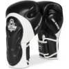 BUSHIDO Boxerské rukavice DBX BB5