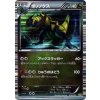 Haxorus 016/020 Holo - Dragon Selection