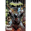 Batman Pád a padlí
