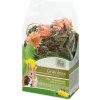 JR FARM Grainless Snack šalvia a púpava pre králiky a hlodavce 100g