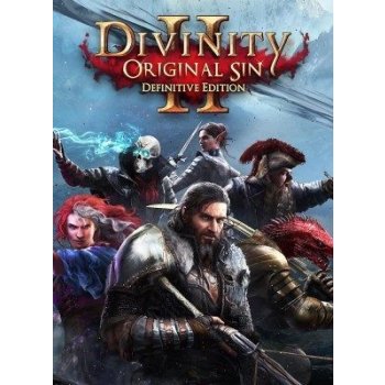 Divinity: Original Sin 2 (Definitive Edition)