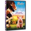 Babe: Galantní prasátko - DVD