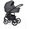 Riko Basic 2025 Carbon