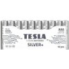 Tesla SILVER+ AAA 10ks 1099137215