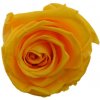 Eva Yellow - žltá (Keramická miska v tvare srdca s tromi hlavami ruží)