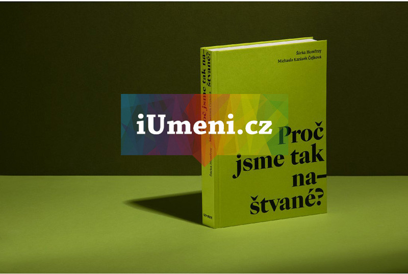 Proč jsme tak naštvané? | Šárka Homfray, Michaela Čejková Karásek