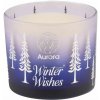 Aurora Winter Orange Sorbet vonná sviečka 200g