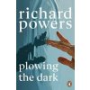 Plowing the Dark - Richard Powers, Cornerstone